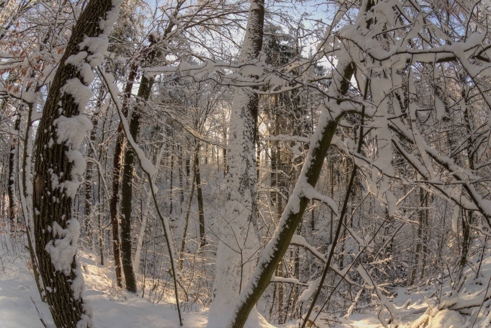 Hofwiese im Winter - Niederwiesa